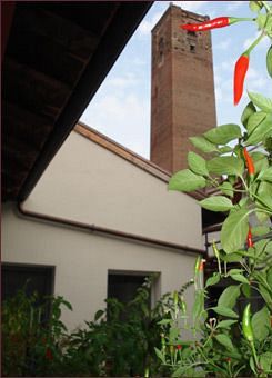 Aparthotel Agorà Residenza 3*